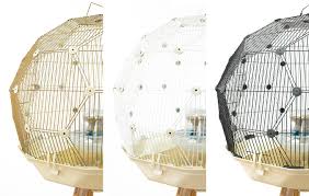 Orange birds are found worldwide in many different bird families, from familiar orioles, hummingbirds, and parrots to thrushes, kingfishers, doves, penguins, and many exotic species around the globe. Geo Bird Cage The Beautiful Geodesic Budgie Cage