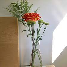 You give them a price and the occasion (e.g., casual gift for the gf, coming out party, funeral) and. Flowers Wholesale Flower Shop In West Hollywood
