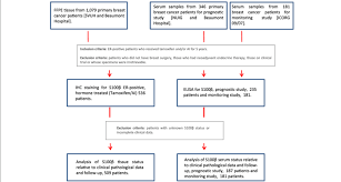 flow chart of patients with breast cancer recruited to the