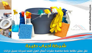 شركة نظافة بجدة بأسعار وخصومات لا تقبل المنافسة Cleaning Toothbrush Holder Brushing Teeth