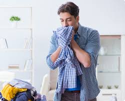Snuggle plus super fresh (has the added benefit of helping remove bad odors) Get Perfect Smelling Laundry When Washing Clothes Fabrics Lenor