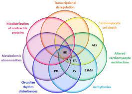 Cardiac Symptom Overlaps Between Huntington S Disease And Other Neuro Cardio Diseases Symptoms Huntington Disease Spinal Muscular Atrophy Parkinson S Disease