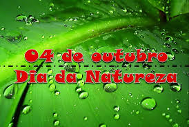 Resultado de imagem para 4 DE OUTUBRO É DIA DE