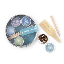 Birth Month Flower Grow Kit Growing Wishes Garden Kit Flower Seeds Garden Kits House Warming Gifts Flower Seeds