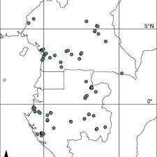 Image result for Rhabdophyllum arnoldianum