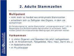 Stammzellen Therapie Der Zukunft Pdf Kostenfreier Download
