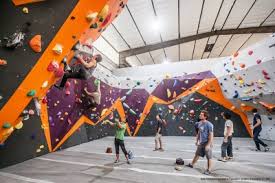 For capital markets, equities and bonds, this was a goldilocks report, darrell cronk, chief investment officer at wells fargo wealth & investment management told reuters thomson friday. Explore Our Signature Climbing Gyms Projects Walltopia Climbing Walls