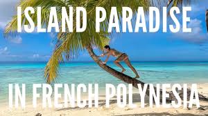 Image result for Faroa affinis