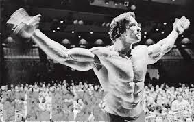 Арнольд шварценеггер/arnold schwarzenegger, а.яшин, гр. Arnold Schwarzenegger S 12 Rules For Success Muscle Fitness