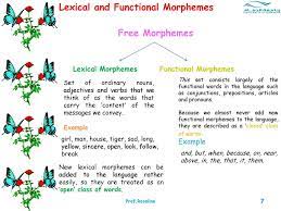 Inflexional morphemes always function grammatically in english and, without exception, they are all suffixes. Lecture 3 Week 3 Introduction To Linguistics Level 5 Morphology Ppt Download