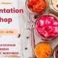 Fermentation For Optimal Gut Health at Melville Eco Hub