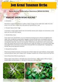 Saya, sebenarnya geli hati serta naik meluat bila membaca produk misai kucing yang diiklankan dalam internet nih. Tanaman Misai Kucing Flip Ebook Pages 1 2 Anyflip Anyflip