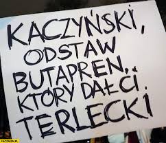 Śledź z nami najnowsze trendy internetu. Terlecki Memy Paczaizm Pl Memy Polityczne Smieszne Obrazki Dowcipy Gify I Cytaty
