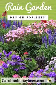 How To Design A Rain Garden For Bees Carolina Honeybees Rain Garden Design Bee Friendly Garden Pollinator Garden