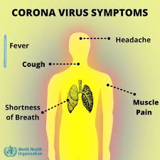 Pin On Coronavirus