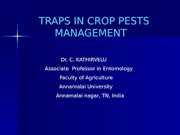 Published on nov 24, 2016. Pdf Traps In Crop Pest Management Ppt