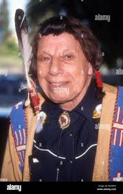 Iron eyes cody hi-res stock photography and images