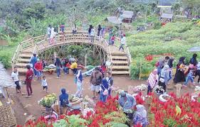 Projek pembinaan papar riverfront ini telah siap dan. Wisata Baru Di Banyuwangi Yang Indah Dan Menawan
