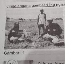 Ngingu sapi isa ngasilake daging, susu, kulit, lan rabuk. Gladhen 1nulis Teks Dheskripsijingglengana Gambar 1 Ing Ngisor Iki 1 Tulisen Idhe Pokoke Kang Brainly Co Id