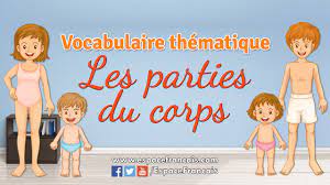 Feuille de travail pour pratiquer les vocabulaire concernant aux parties du corps. Les Parties Du Corps Vocabulaire Francais Thematique Espacefrancais Com