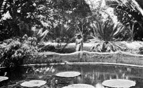 Herzlich willkommen auf den seiten von garten könig aus adelsried, dem spezialisten in sachen gartengestaltung, dachbegrünung und landschaftsbau im großraum augsburg/münchen. The Project Gutenberg Ebook Of Rund Um Sud Amerika By Oskar Von Riesemann