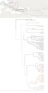 tracing the origins of indo european languages graphic