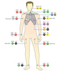 Einfach ein 12 kanal ekg anlegen und schreiben: Ge Healthcare Mac Tm 600 Ruhe Ekg Analysesystem Bedienungsanleitung Software Version Revision A Pdf Kostenfreier Download