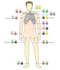 What you have described makes no sense. Ge Healthcare Mac Tm 600 Ruhe Ekg Analysesystem Bedienungsanleitung Software Version Revision A Pdf Kostenfreier Download