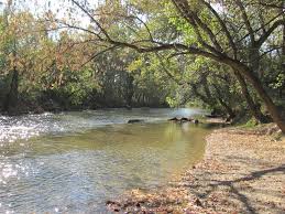 Birds Of Eastern Panhandle Wv Opequon Creek Near Martinsburg Berkeley County West Virginia West Virginia Places To Travel Scenic