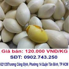 Bạch Quả Cong Dụng Chữa Bệnh Va Những Lưu Y Khi Dung Hạt Bạch Quả