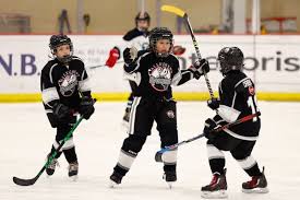 Are There Any Differences Between Aa And Aaa Hockey? - 2024