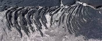 نتیجه جستجوی لغت [solidified] در گوگل