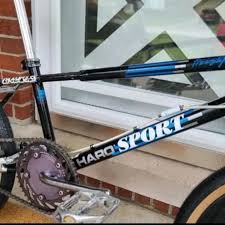 Image result for Bleu 1988 ARO