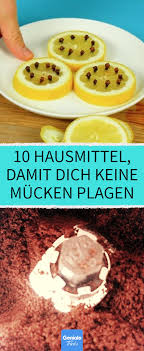 10 Hausmittel Damit Dich Keine Mucken Plagen Der Perfekte Muckenschutz 10 Hausmittel Gegen Muck In 2020 Hausmittel Gegen Mucken Hausmittel Walnusslikor Selber Machen