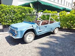 Image result for Bleu Fjord 1979 Citroen