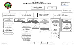 department organizational chart