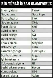 Maalesef Insanlari Oldugu Gibi Kabullenemeyenlerin Sayisi Cok Fazla Gercekler Komik Seyler Komik Capsler