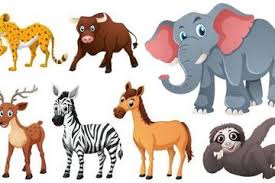 .latihan soal bahasa inggris tentang grammar dan dear readers apa kabar sobat semoga semua tetap aman terkendali ya d pustakabahasainggris. Kumpulan Soal Dan Jawaban Materi Hewan Animals Dalam Bahasa Inggris Semua Halaman Adjar