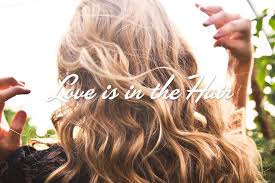 Restaurants near siesta key watersports. La Rinnova Salon Home