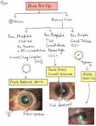 Image result for Acute Red Eye