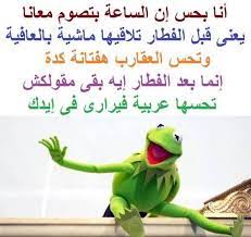 نكت نكت الضفدع شاهد اجمل نكت الضفدع كيرميت هتموتك من الضحك بالصور موقع مفيد لك funny picture jokes funny dude funny arabic quotes