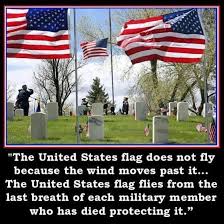 Image result for memorial day anti government