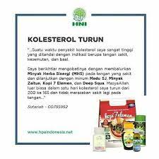 Kolesterol Herba Herbal Minyak Zaitun