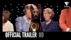 This is a true story that every dog lover in the world will respect and enjoy. Koko A Red Dog Story Official Trailer 2019 Hd Youtube
