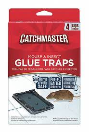 With the help of this trap, you will easily remove stink bugs in the shortest time and also spot other insects trying to get into your house. Catchmaster Glue Trap 5 1 4 In L 3 1 2 In W Pk4 5yay1 104 Grainger
