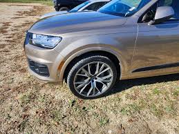 Image result for Argus Brown 2021 Audi