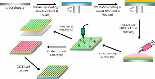 Nanofilm technologies international limited (nanofilm) is a leading provider of unique vacuum coating technologies in asia, leveraging its proprietary technologies, core competencies in r&d. Fabrication Scheme Of Freestanding Inkjet Patterned Nanofilm Film Download Scientific Diagram