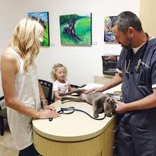 Ec primary care physicians looks forward to working with you to deliver you to a path of optimal health and wellness. Let S Talk Liver Disease Pet Talk Podcast By Alicia Pet Care Center