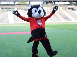 The torneo guardianes 2021 (stylized as guard1anes) liga mx final phase was played between 8 may 2021 to 30 may 2021. Lou Rugby Le Calendrier De La Saison De Top 14 Devoile