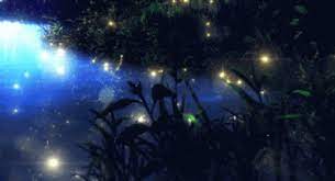 See a recent post on tumblr from @squirrelstothenuts about anime background gif. Blue Background Anime Lights Gif Bluebackgroundanimelights Discover Share Gifs Anime Scenery Anime Background Anime Places